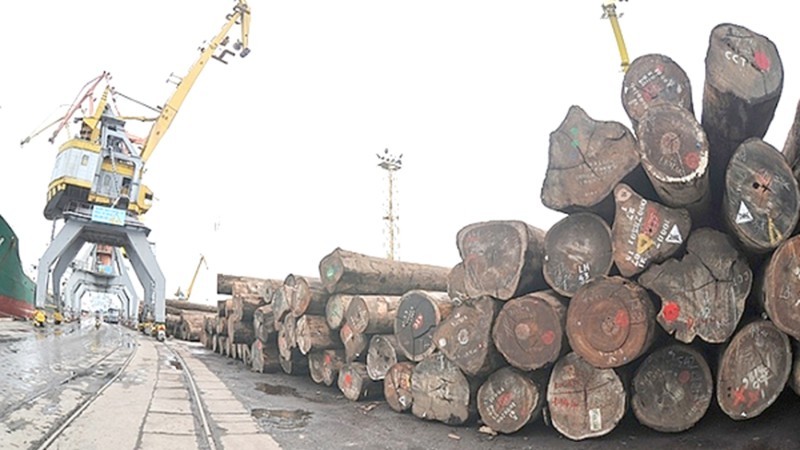 Nhiều rủi ro khi nhập khẩu gỗ nguyên liệu từ châu Phi. (Ảnh minh họa)