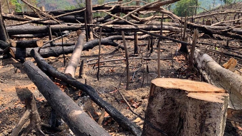 Tình trạng phá rừng, hủy hoại thiên nhiên đã gây nên những trận thiên tai cực đoan.