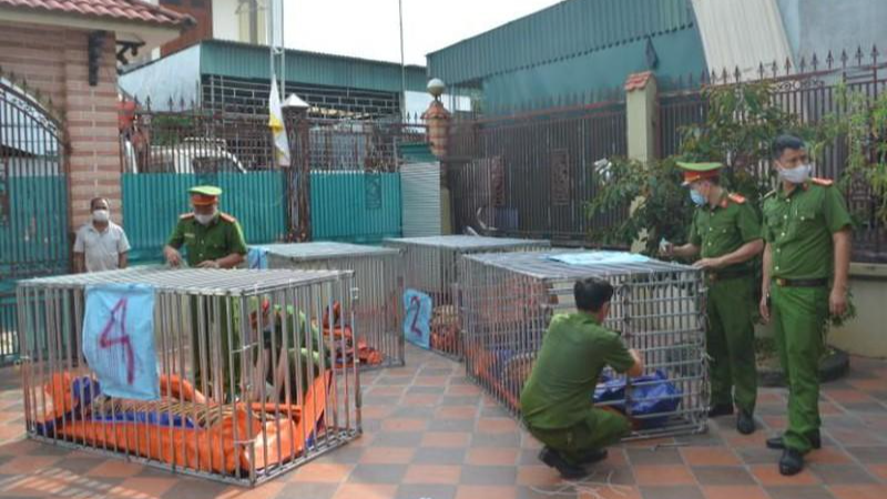 Lực lượng công an kiểm tra cơ sở nuôi nhốt động vật hoang dã trái phép ở xã Đô Thành, huyện Yên Thành, tỉnh Nghệ An.