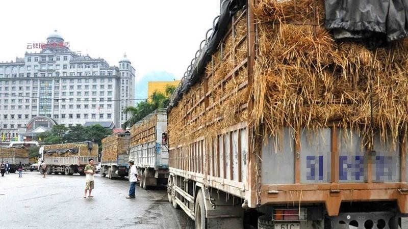 Doanh nghiệp xuất khẩu nông sản sang Trung Quốc đang lúng túng với các quy định mới. (Ảnh minh họa nguồn Internet)