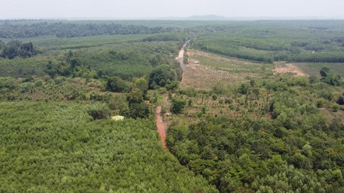 Rừng Khu bảo tồn thiên nhiên văn hóa Đồng Nai nơi có quy hoạch tuyến đường 13C.