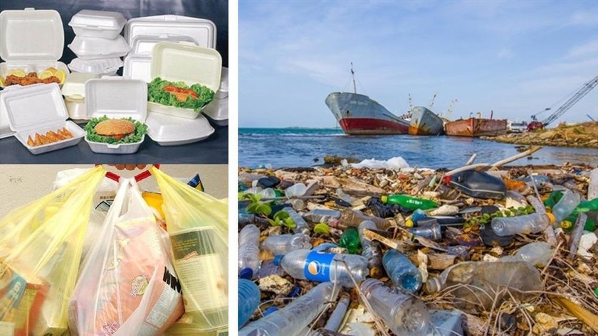 Rác thải nhựa ở các bờ biển.