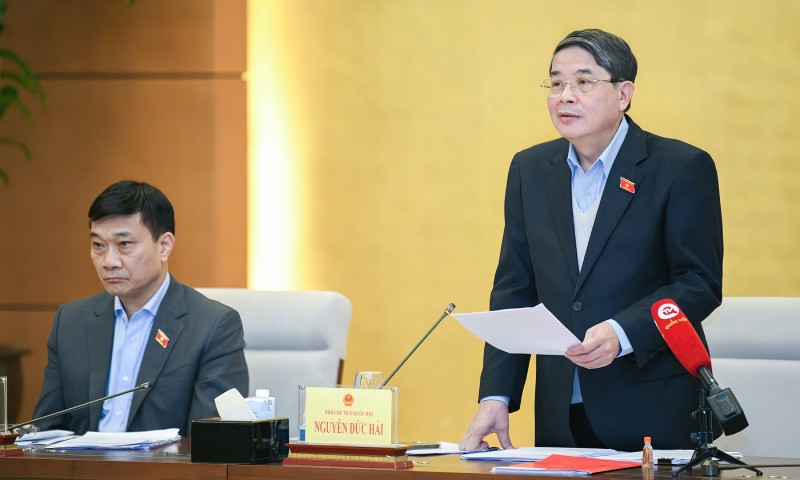 Phó Chủ tịch Quốc hội Nguyễn Đức Hải phát biểu chỉ đạo tại phiên họp.