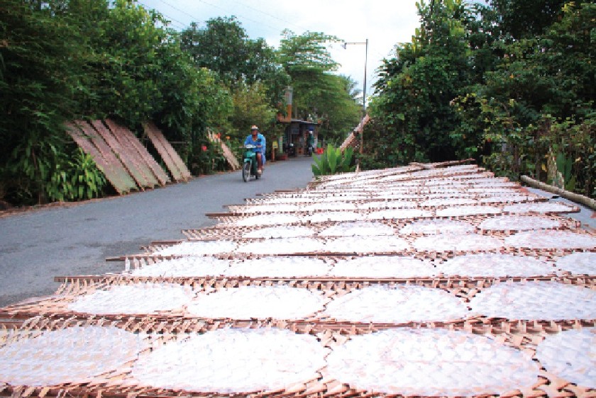 Các vỉ bánh tráng phơi dọc theo con đường vào làng nghề.