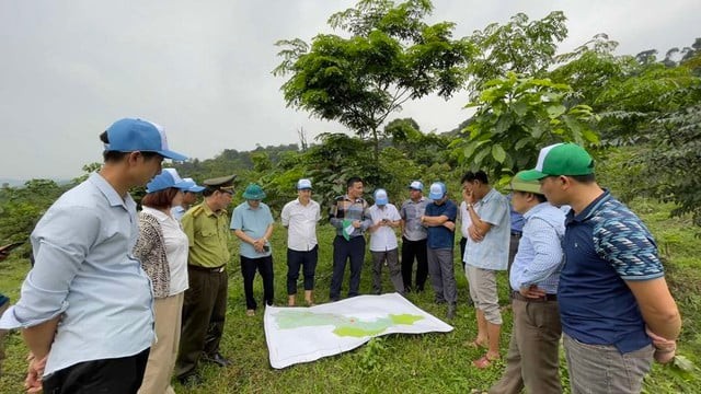Các đại biểu tham quan một khu rừng trồng bằng vốn của VARS ở Tuyên Hóa.
