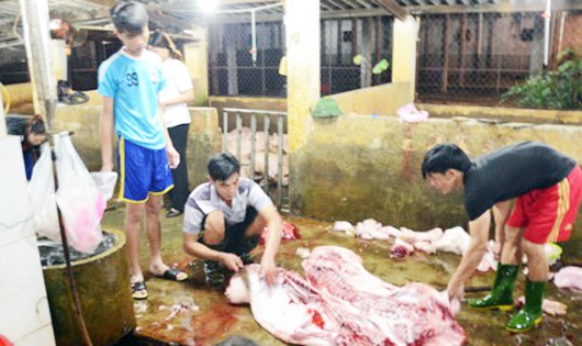 Đoàn kiểm tra liên ngành trực tiếp lò mổ lợn tập trung lấy mẫu thử test nhanh (ảnh Báo Nghệ An)