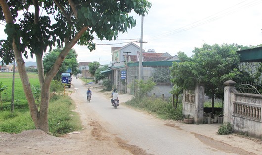 Một góc những thửa đất bán sai thẩm quyền tại xã Nam Cường.