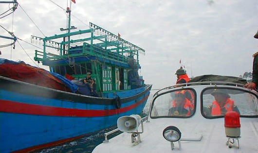 Tàu cá gặp nạn được lai dắt vào bờ an toàn bàn giao cho chủ phương tiện