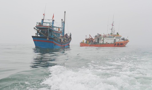 Tàu cá gặp nạn được lực lượng cứu hộ lai dắt vào bờ an toàn