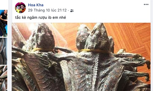 Trên trang facebook cá nhân bà Hoa ra báo động vật hoang dã công khai