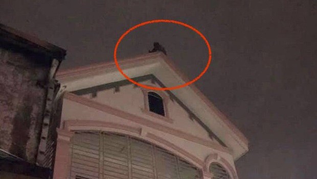 Chủ cửa hàng trèo lên mái nhà với ý định tự tử sau khi thấy tài sản bị cháy