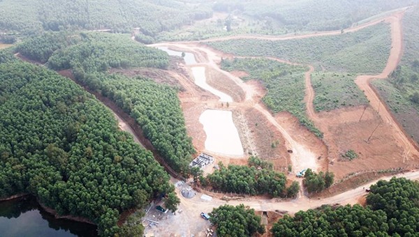 Toàn cảnh khu sinh thái mọc lên trên đất lâm nghiệp ở Hà Tĩnh.