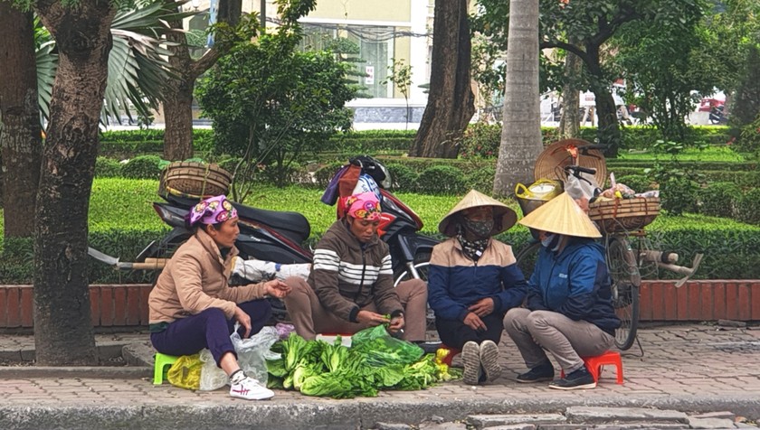 Những người phụ nữ co ro giữa "chợ người" tranh thủ nhặt rau trong lúc đợi người đến thuê đi làm việc những ngày cận Tết.