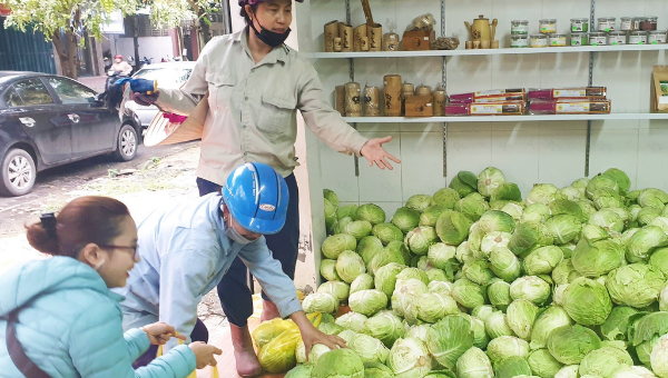 Nông sản được người dân Nghệ An ủng hộ tích cực. 