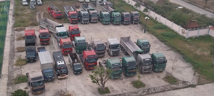Lực lượng chức năng đã tạm giữ hơn 30 xe tải để phục vụ điều tra (Ảnh: Công an cung cấp).