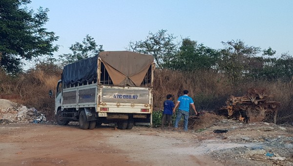 Đắk Lắk: Ô tô chở chất thải ngang nhiên phóng uế ra đường