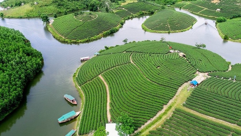 Đảo Chè - một trong những điểm du lịch nổi tiếng của Nghệ An. 