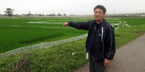 Trưởng thôn Tạ Đình Hồng chỉ vị trí khu đất nông nghiệp sẽ bị thu hồi.