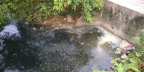 Nước kênh ô nhiễm trầm trọng.