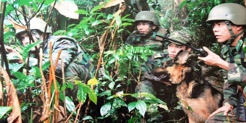 Lực lượng chuyên trách của Việt Nam mật phục, phá nhiều chuyên án ma túy lớn.