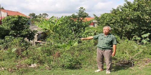 Ông Phạm Văn Hoan bên diện tích đất bị hàng xóm mượn rồi chiếm đoạt.