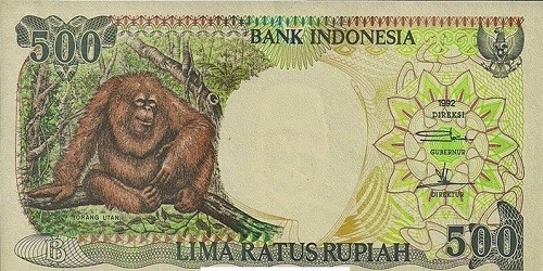 Bộ tiền in hình khỉ Indonesia "lên ngôi" mùa Tết năm nay