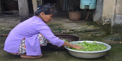  Bà Nguyễn Thị Cúc hàng ngày vẫn nấu ăn bằng nguồn nước nhiễm phèn.
