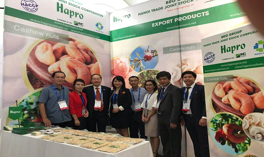 Gian hàng giới thiệu sản phẩm của Hapro tại Hội nghị điều quốc tế lần thứ 10 - 2018