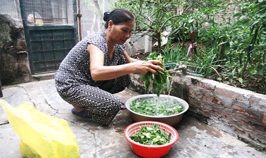 Hà Nội đặt mục tiêu năm 2019 có 75% người dân nông thôn được dùng nước sạch. Và đến năm 2020 tỷ lệ này sẽ là 100%.