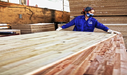 Ảnh minh họa: Gia tăng đầu tư FDI từ Trung Quốc vào ngành gỗ Việt Nam, đặc biệt là các đầu tư về mảng ván ép