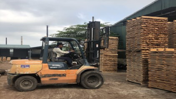 Hệ thống bảo đảm gỗ hợp pháp Việt Nam (VNTLAS) nên áp dụng cho cả gỗ xuất khẩu lẫn gỗ sản xuất nội địa