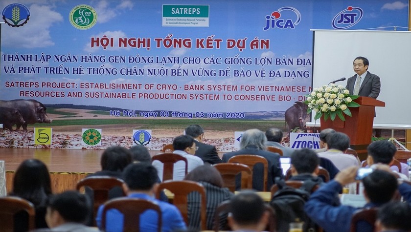  Tiếp tục bảo tồn và sử dụng nguồn tài nguyên lợn bản địa Việt Nam 
