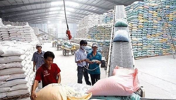 Không mua đủ số lượng gạo dự trữ quốc gia, Tổng cục Dự trữ Nhà nước đang chuẩn bị mở đợt đấu thầu mới
