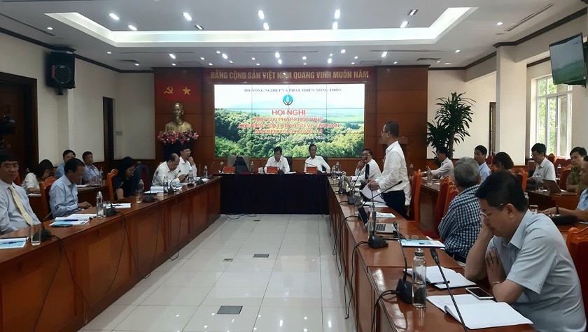 Bộ trưởng Nguyễn Xuân Cường và Thứ trưởng Hà Công Tuấn lắng nghe ý kiến của DN ngành gỗ