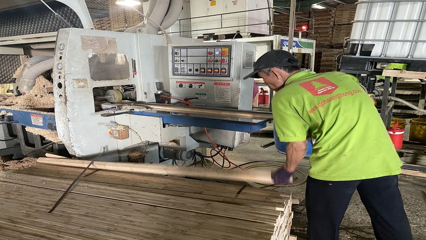 Sản xuất gỗ ghép thanh tại Công ty Hoàng Thông.