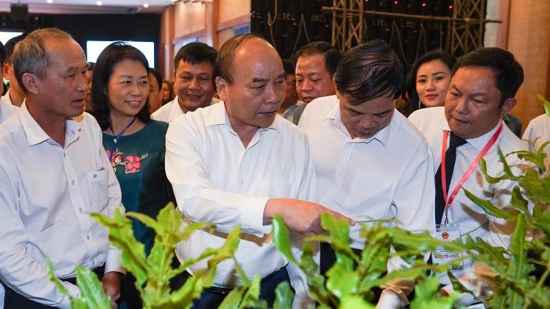 Thủ tướng Nguyễn Xuân Phúc: Mắc ca Việt Nam phải có thương hiệu riêng ra thế giới