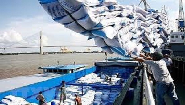 Tại sao 24 thương nhân không xuất khẩu gạo không bị thu hồi Giấy chứng nhận?  