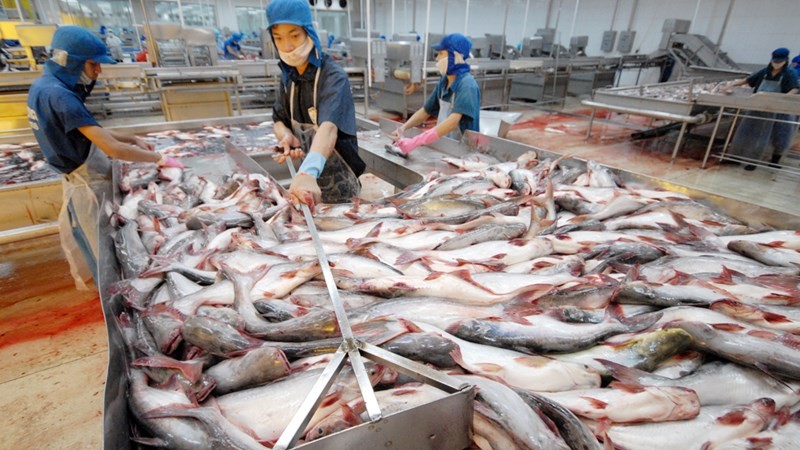 Chính phủ chỉ đạo theo dõi tình hình ách tắc xuất khẩu thủy sản sang Trung Quốc