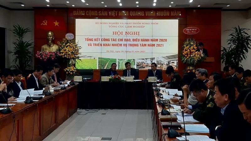 Bộ trưởng NN&PTNT Nguyễn Xuân Cường:  Chưa yên tâm về tỷ lệ che phủ rừng!