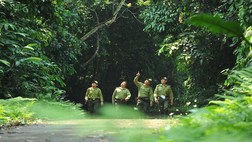 Lực lượng kiểm lâm kiểm tra tại Vườn Quốc gia Cúc Phương.