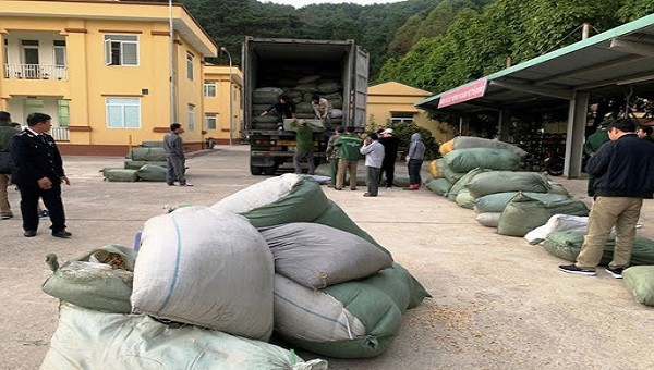 Các lực lượng chức năng triệt phá đường dây buôn lậu thuốc bắc tại Cửa khẩu Chi Ma, Lạng Sơn.