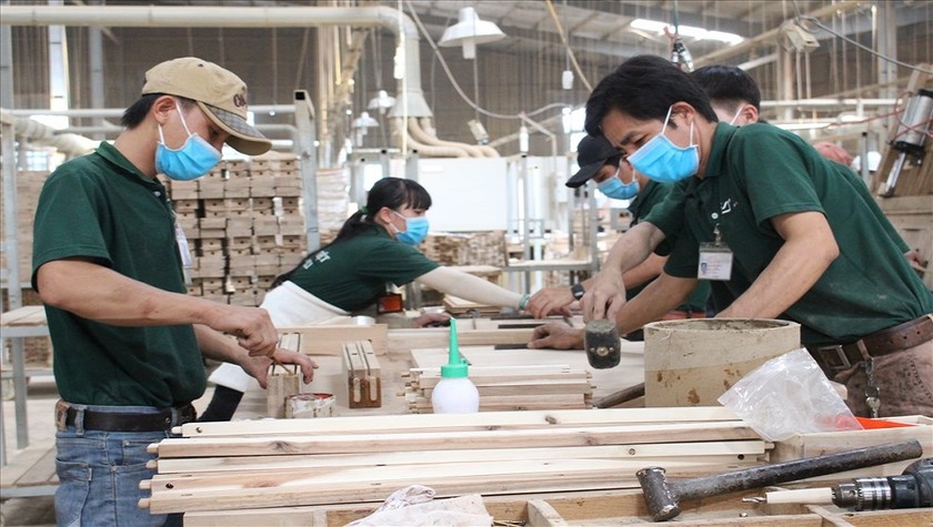 Ngành gỗ hiện có khoảng 5.300 DN, sử dụng trên 700.000 lao động.