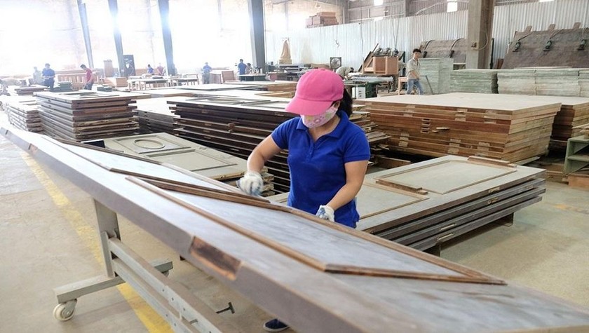Việt Nam là một mô hình về tăng cường thực thi pháp luật toàn diện đối với gỗ bất hợp pháp. Ảnh minh họa