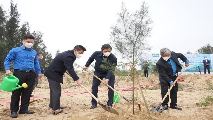 Lãnh đạo các đơn vị tham gia trồng cây tại xã Quỳnh Liên, thị xã Hoàng Mai, tỉnh Nghệ An 