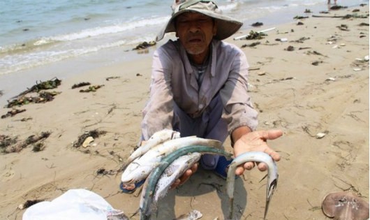 Thủ tướng yêu cầu không được để dân thiếu đói do phải ngừng đánh bắt hải sản