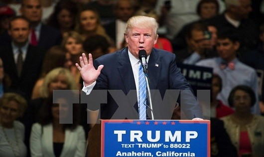 Ứng cử viên Tổng thống Mỹ Donald Trump. (Nguồn: AFP/TTXVN)