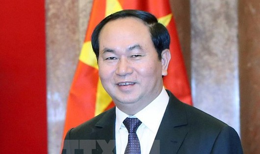 Chủ tịch nước Trần Đại Quang. Ảnh: TTX.