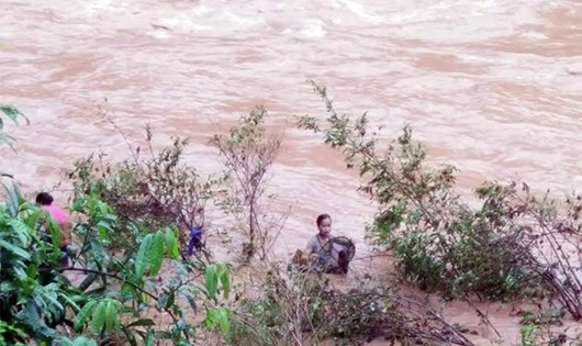 Bất chấp lũ dữ, nhiều người Quảng Bình ra sông bắt cá vớt củi