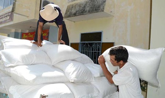 Xuất cấp hơn 1.100 tấn gạo cho 2 tỉnh ăn Tết