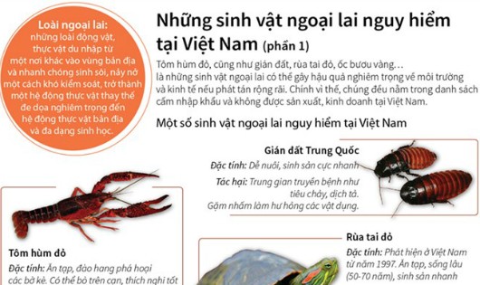 Những sinh vật ngoại lai nguy hiểm tại Việt Nam